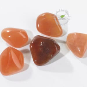 CORNALINE PIERRE POLIE
