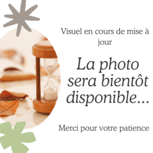 AMÉTHYSTE DONUT Ø2 A 3 CM EP 4 A 5MM