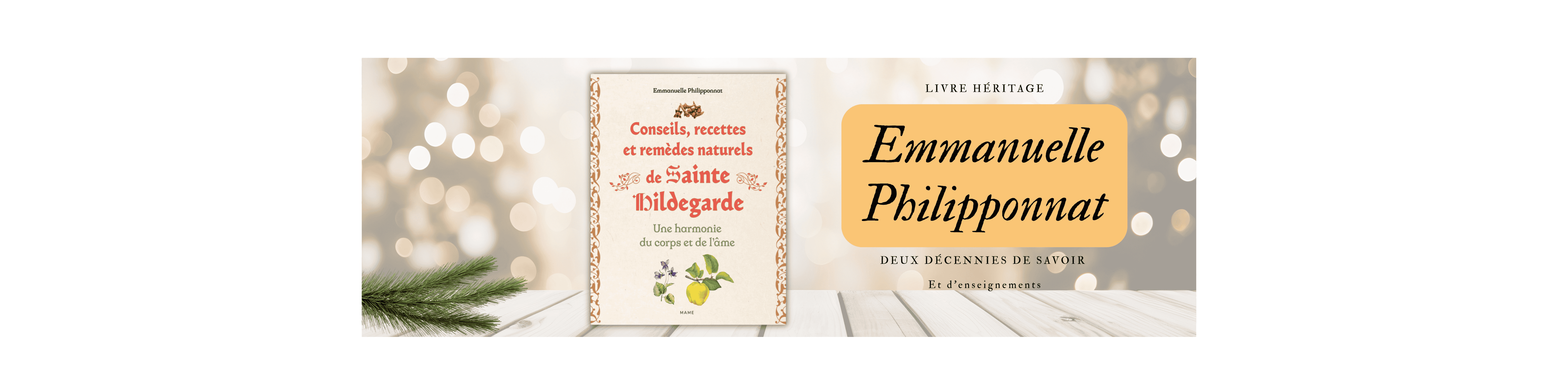 Bannière livre-Emmanuelle-Philipponnat