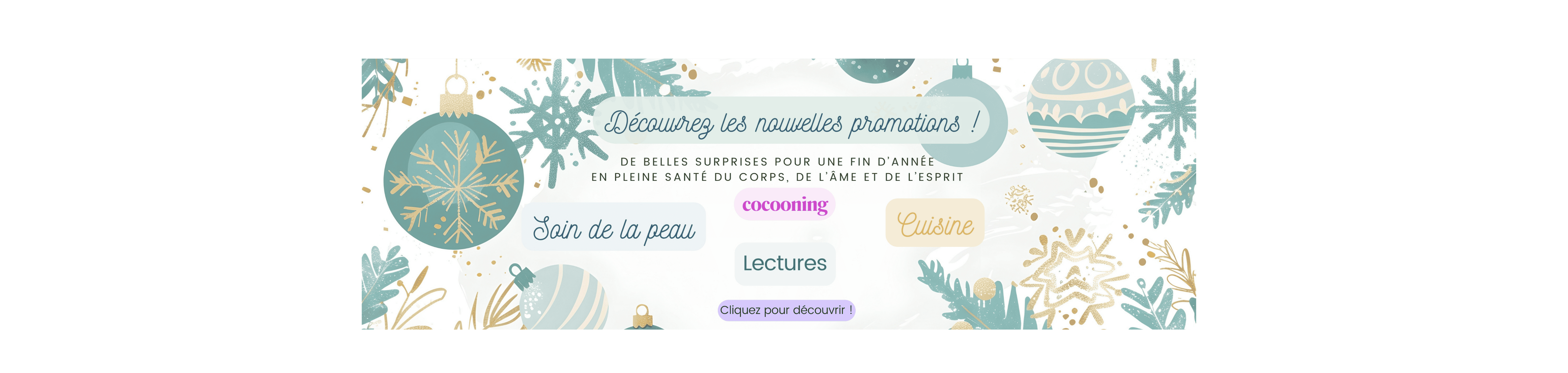 Bannière Promo Noël 2025 (1)